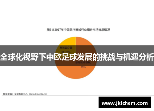 全球化视野下中欧足球发展的挑战与机遇分析