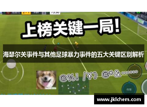 海瑟尔关事件与其他足球暴力事件的五大关键区别解析